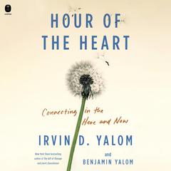Hour of the Heart by Benjamin Yalom audiobook