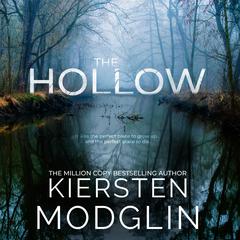The Hollow by Kiersten Modglin audiobook