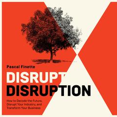 Disrupt Disruption by Pascal Finette audiobook