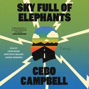 Sky Full of Elephants by  Cebo Campbell audiobook
