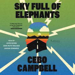 Sky Full of Elephants by Cebo Campbell audiobook