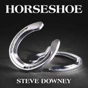 Horseshoe by  Steve Downey audiobook