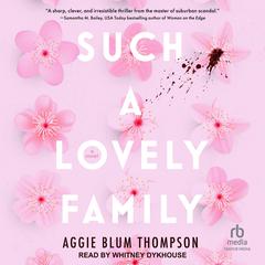 Such a Lovely Family by Aggie Blum Thompson audiobook