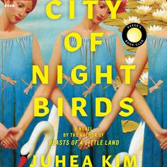 City of Night Birds by Juhea Kim audiobook