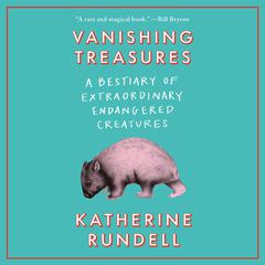Vanishing Treasures by Katherine Rundell audiobook