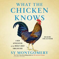 What the Chicken Knows by Sy Montgomery audiobook