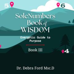SOLEnumbers Book of Wisdom by Debra Ford audiobook