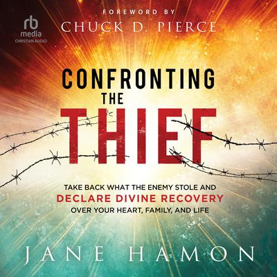 Confronting the Thief by Jane Hamon audiobook