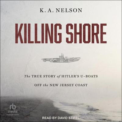 Killing Shore by K.A. Nelson audiobook