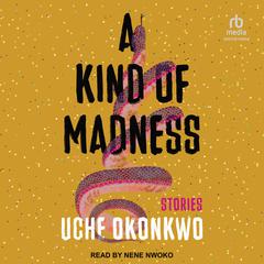 A Kind of Madness by Uche Okonkwo audiobook