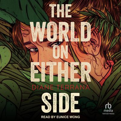 The World on Either Side by Diane Terrana audiobook