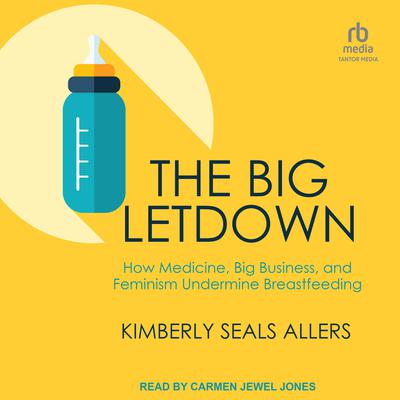 The Big Letdown by Kimberly Seals Allers audiobook