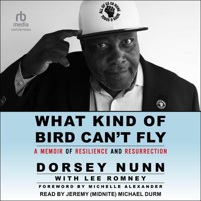 What Kind of Bird Can't Fly by Dorsey Nunn audiobook