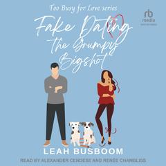 Fake Dating the Grumpy Bigshot by Leah Busboom audiobook