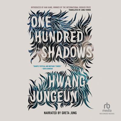One Hundred Shadows by Hwang Jungeun audiobook