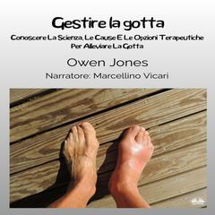 Gestire La Gotta by Owen Jones audiobook