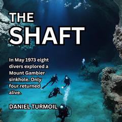 The Shaft by Daniel Turmoil audiobook