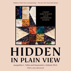 Hidden in Plain View by Jacqueline L. Tobin audiobook