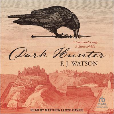 Dark Hunter by F.J. Watson audiobook