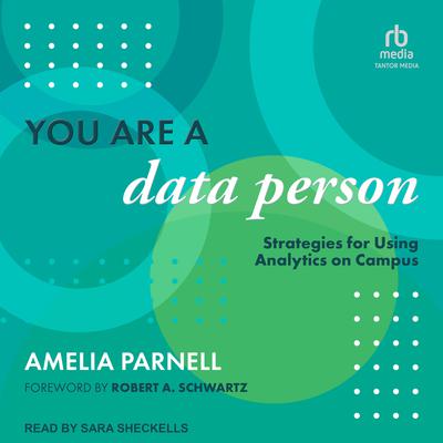 You Are a Data Person by Amelia Parnell audiobook