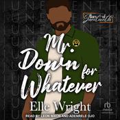 Mr. Down for Whatever by  Elle Wright audiobook