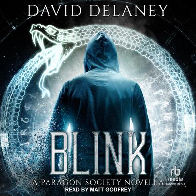Blink by David Delaney audiobook