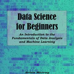 Data Analysis for Beginners by Brian Murray audiobook