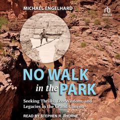 No Walk in the Park by Michael Engelhard audiobook