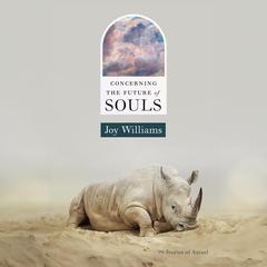 Concerning the Future of Souls by Joy Williams audiobook