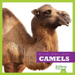 Camels by Mari Schuh audiobook
