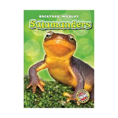 Salamanders by Megan Borgert-Spaniol audiobook