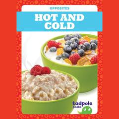 Hot and Cold by Erica Donner audiobook