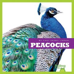 Peacocks by Cari Meister audiobook