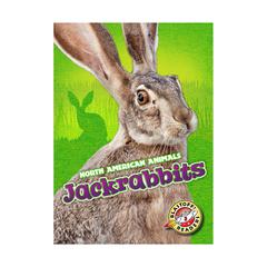 Jackrabbits by Christina Leaf audiobook