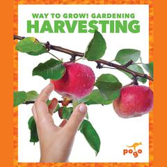 Harvesting by Rebecca Pettiford audiobook