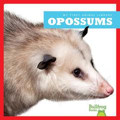 Opossums by Mari Schuh audiobook