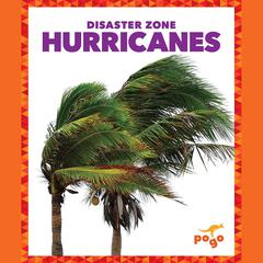 Hurricanes by Cari Meister audiobook