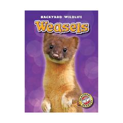Weasels by Megan Borgert-Spaniol audiobook