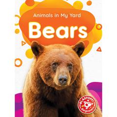 Bears by Amy McDonald audiobook