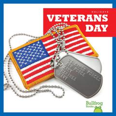 Veterans Day by Rebecca Pettiford audiobook