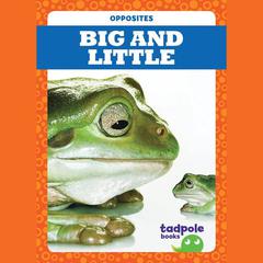 Big and Little by Erica Donner audiobook