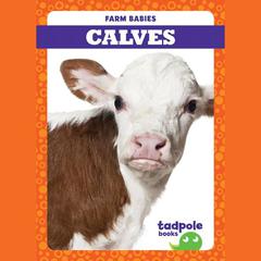 Calves by Tim Mayerling audiobook