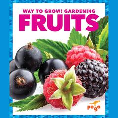 Fruits by Rebecca Pettiford audiobook