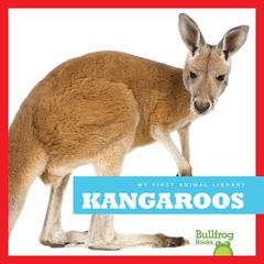 Kangaroos by Mari Schuh audiobook