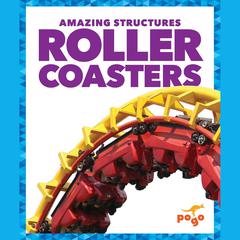 Roller Coasters by Rebecca Pettiford audiobook