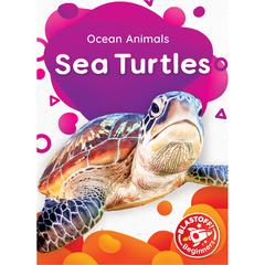 Sea Turtles by Christina Leaf audiobook