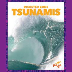Tsunamis by Cari Meister audiobook