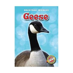 Geese by Megan Borgert-Spaniol audiobook