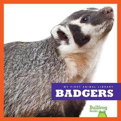 Badgers by Mari Schuh audiobook