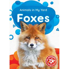 Foxes by Amy McDonald audiobook